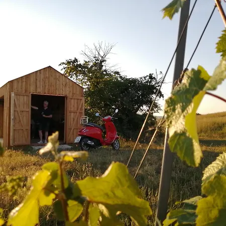 Weinviertler Kellerstoeckl Weingut Hindler شقة Schrattenthal