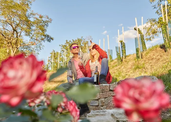 Weinviertler Kellerstoeckl Weingut Hindler Lejlighed