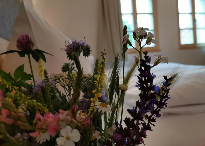 Lejlighed Weinviertler Kellerstoeckl Weingut Hindler