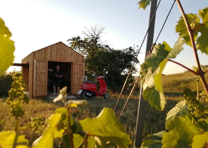 Weinviertler Kellerstoeckl Weingut Hindler Lejlighed Schrattenthal